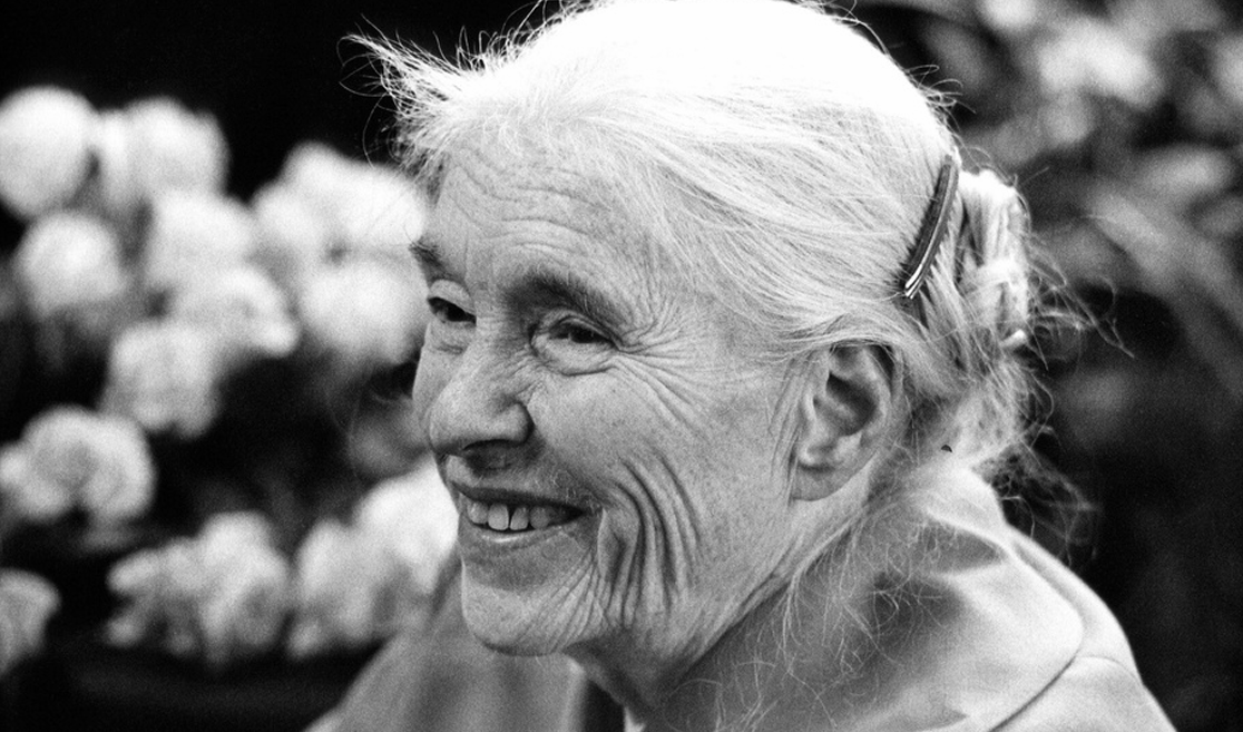 Anna Seghers und das Meer